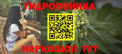 мяу мяу мука Кандалакша